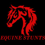 equine-stunts
