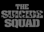 total-stunts-ireland-the-suicide-squad